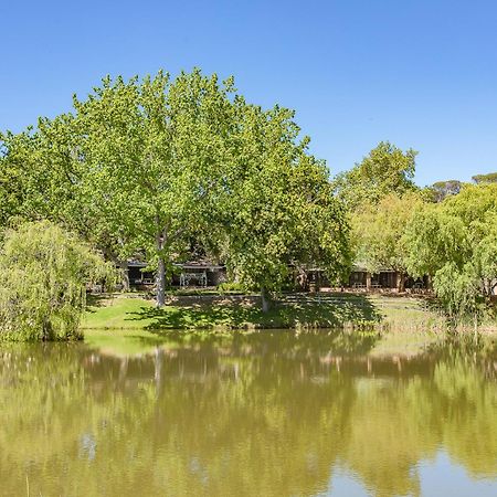 Picardie Guest Farm Paarl Ngoại thất bức ảnh