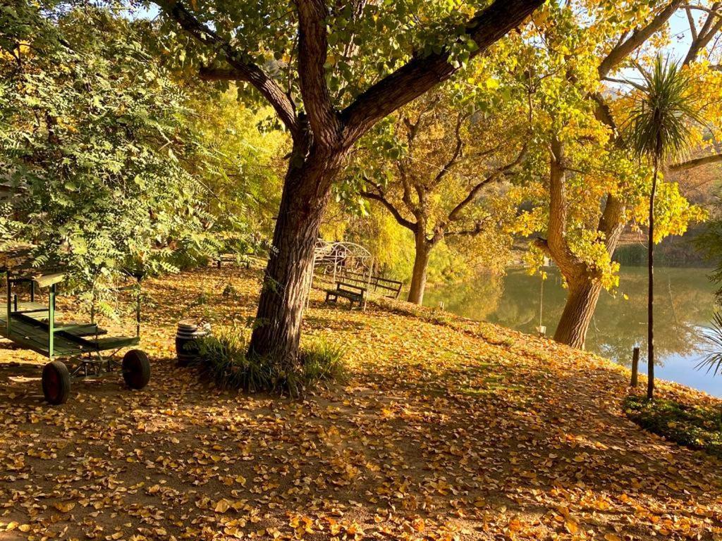 Picardie Guest Farm Paarl Ngoại thất bức ảnh