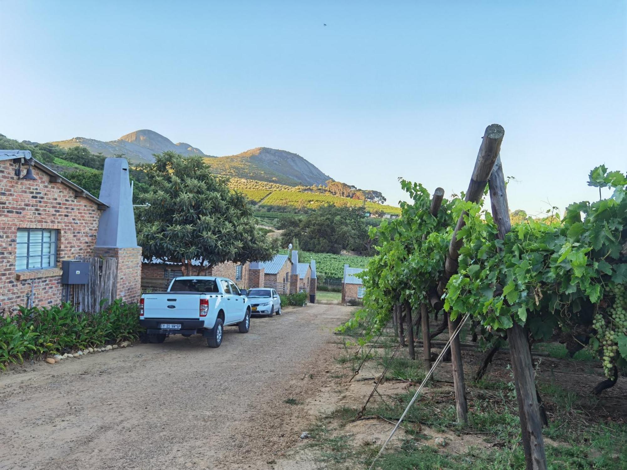 Picardie Guest Farm Paarl Ngoại thất bức ảnh