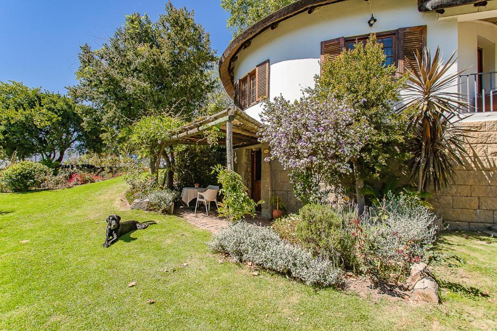 Picardie Guest Farm Paarl Ngoại thất bức ảnh