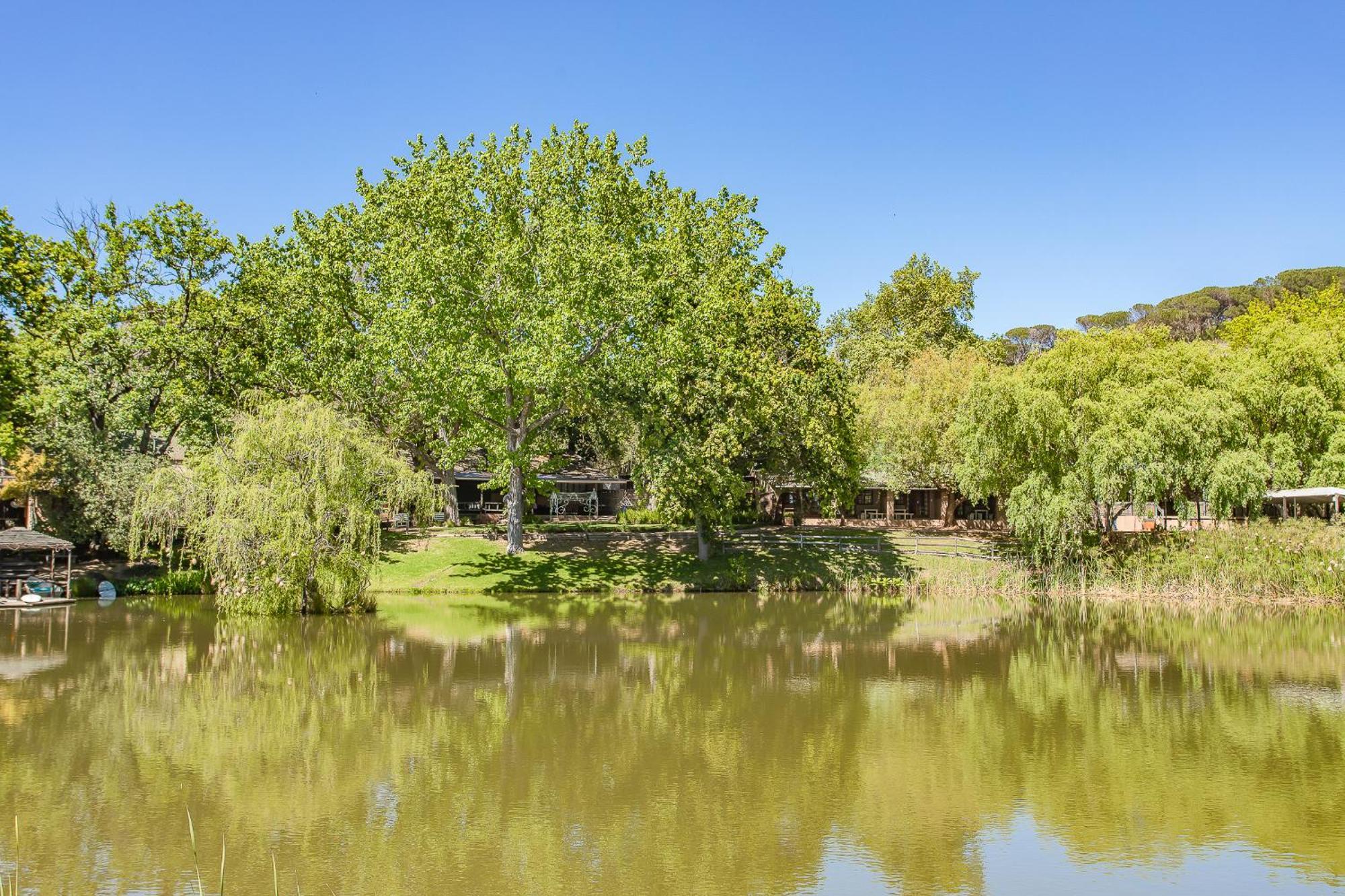 Picardie Guest Farm Paarl Ngoại thất bức ảnh
