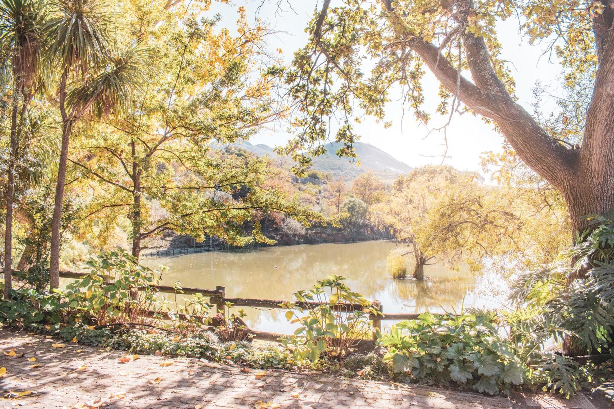 Picardie Guest Farm Paarl Ngoại thất bức ảnh